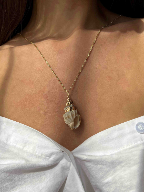 Цепь с кулоном ракушка 5629 